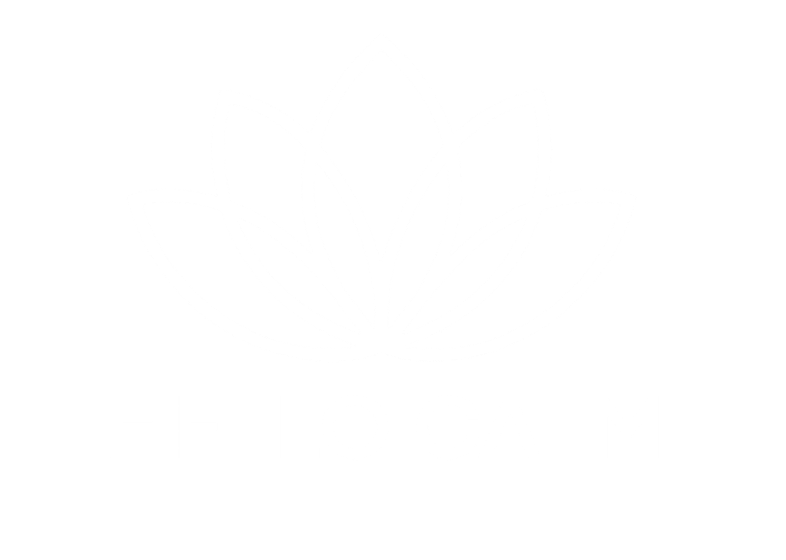 HELLO CALM